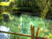 Пазл Водоемчик