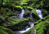 Пазл Водопад