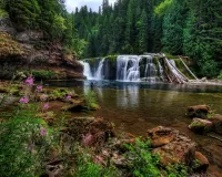 Пазл Водопад в лесу