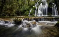 Пазл Водопад в лесу