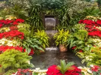 Пазл Водопадик 