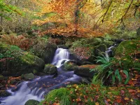 Пазл Водопадик 