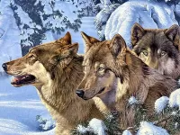 Пазл Волчья семья