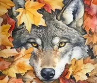 Пазл Волк