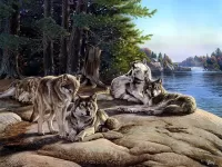 Пазл Волки 