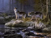 Пазл Волки 