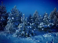 Пазл Волшебная ночь