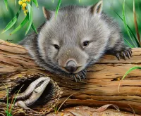 Пазл Вомбат и ящерица 