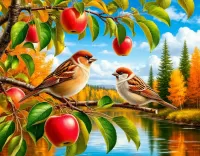 Пазл Воробьи на яблоне