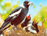 Пазл Ворона-свистун