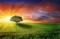 Пазл Восход Солнца