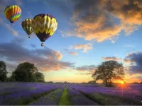 Пазл Воздушные шары 