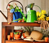 Пазл Все для огорода