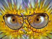 Пазл Взгляд