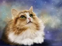 Пазл Взгляд