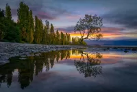 Пазл Wanaka lake