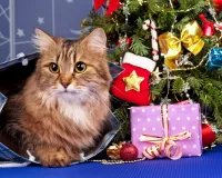 Пазл Я тоже подарок