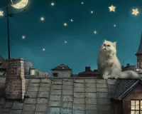 Пазл Я жду тебя