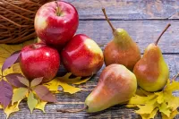 Пазл Яблоки и груши