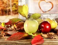Пазл Яблоки на окне 