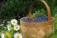 Пазл Ягоды и ромашки