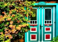 Пазл Яркая дверь
