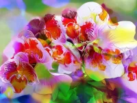 Пазл Яркие краски