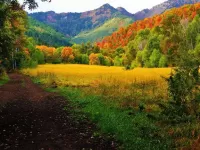 Пазл Яркие краски осени 