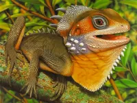 Пазл Ящерица