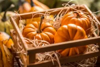 Пазл Ящик с тыквами