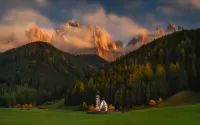 Пазл Южный Тироль