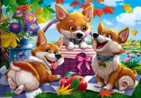 Пазл Забавные корги 