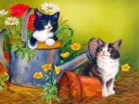 Пазл Забавные котята 1