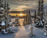 Пазл Закат солнца