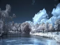 Пазл Заметая снегом