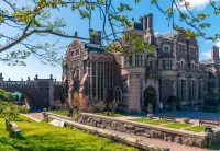 Пазл Замок Branches