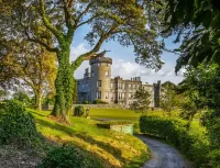 Пазл Замок Дром Олайнн