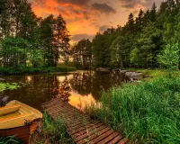 Пазл Заросший пруд