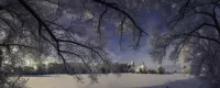 Пазл Заснеженные ветви