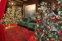 Пазл Зелёный диван