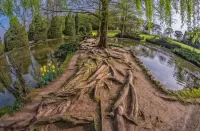 Пазл Земля кругла