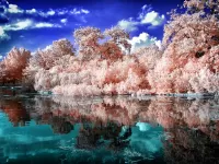 Пазл Зеркальная вода