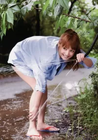 Пазл Жаркий день