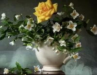 Пазл Жасмин и роза