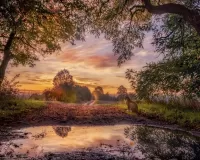 Пазл Жду хозяина