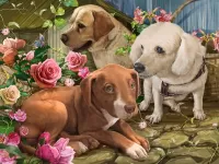 Пазл Ждём хозяев