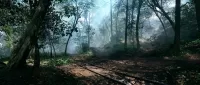 Пазл Железная дорога в лесу