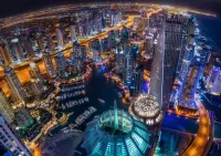 Пазл Живая ночь