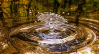 Пазл Живая вода