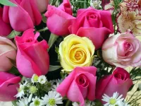 Пазл Жёлтая роза